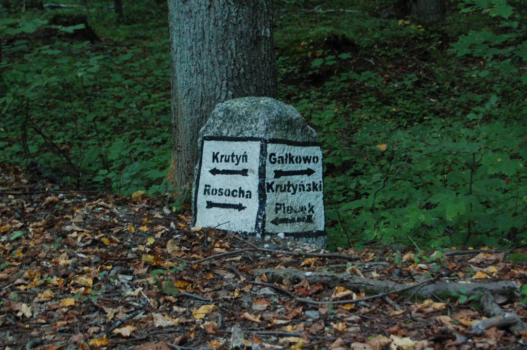 Stara Papiernia Zielony Lasek Krutynski Piecek Dış mekan fotoğraf