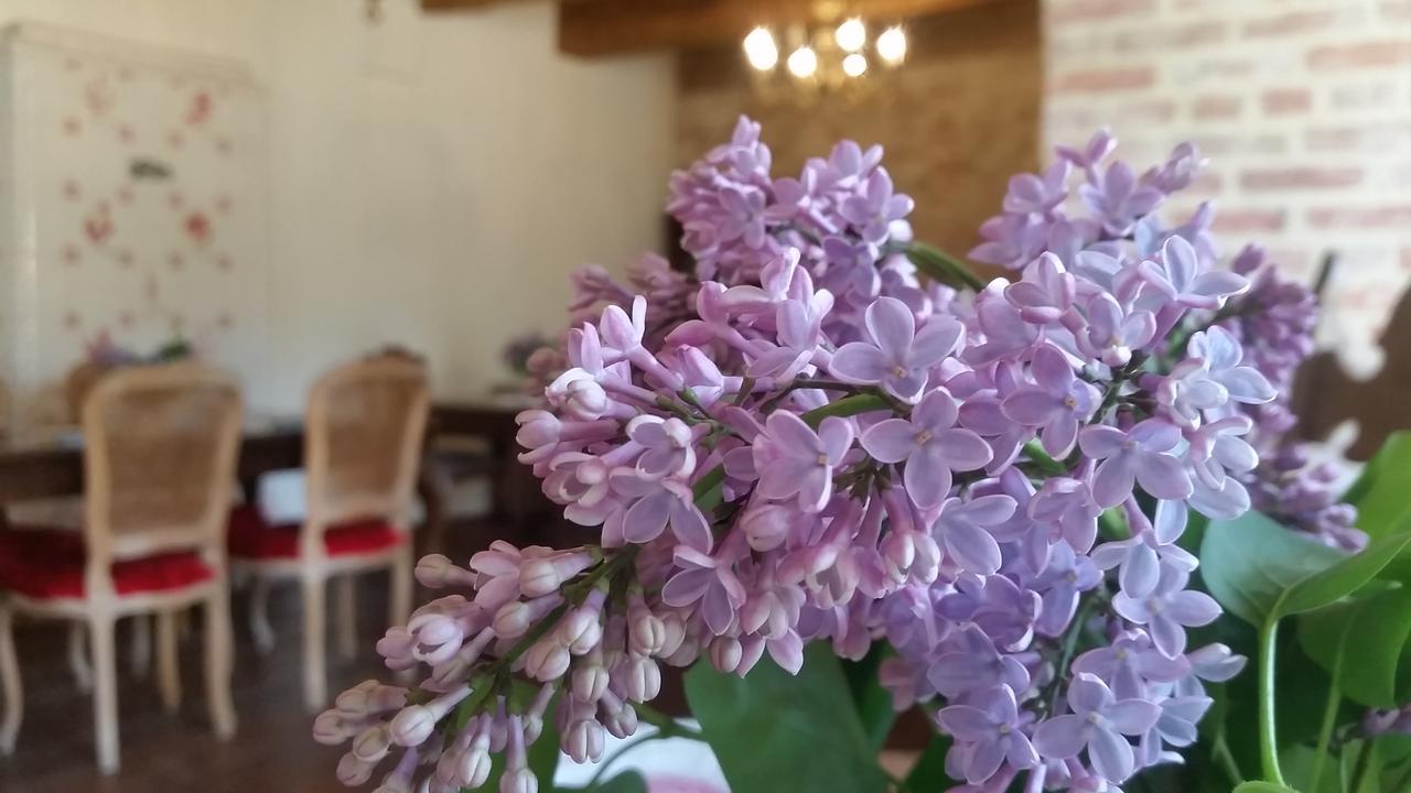 Stara Papiernia Zielony Lasek Krutynski Piecek Dış mekan fotoğraf